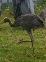 Red Yellow Blue on July 3rd 2012 Red Yellow Blue on July 3rd 2012